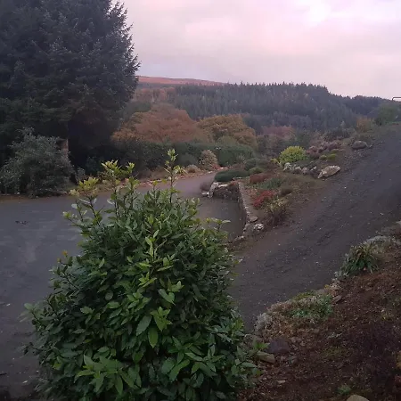 Forest View Woodland Country house *