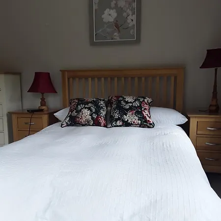 Forest View Woodland