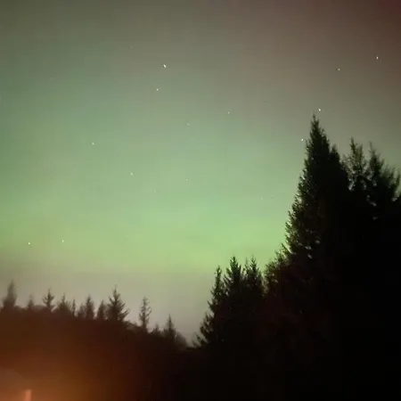 Forest View Woodland * Ballard