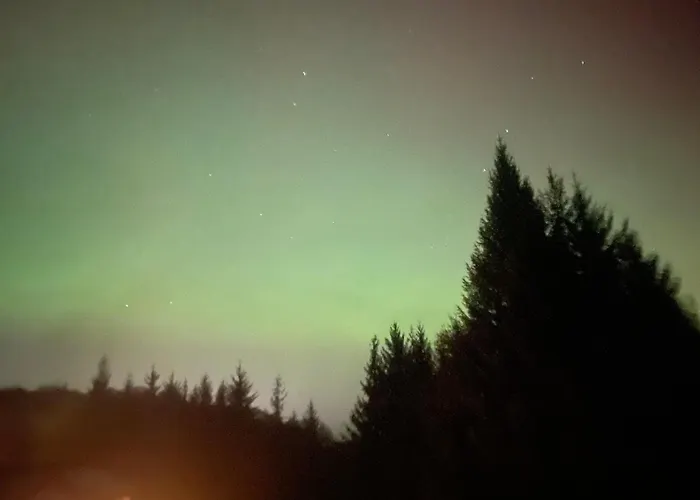 Forest View Woodland * Ballard