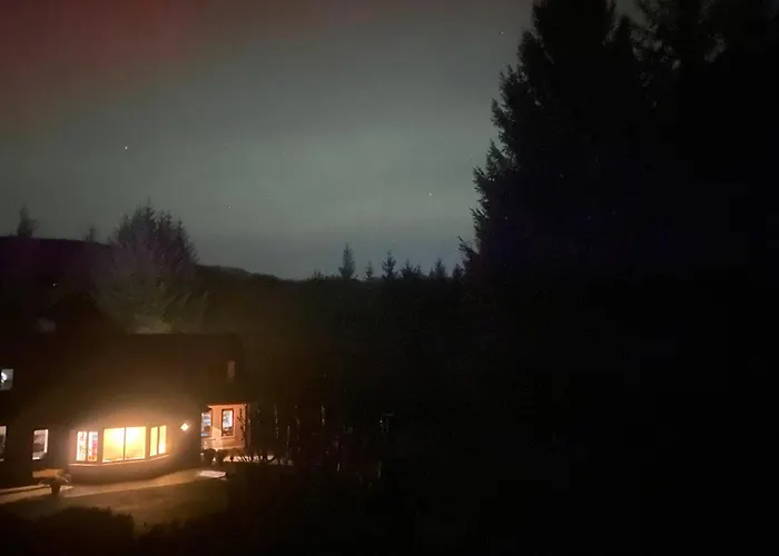 Hétvégi ház Forest View Woodland *